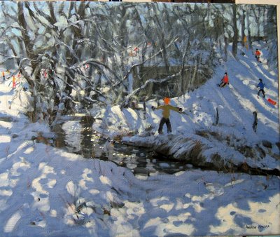 Ruscello invernale, Derbyshire da Andrew Macara